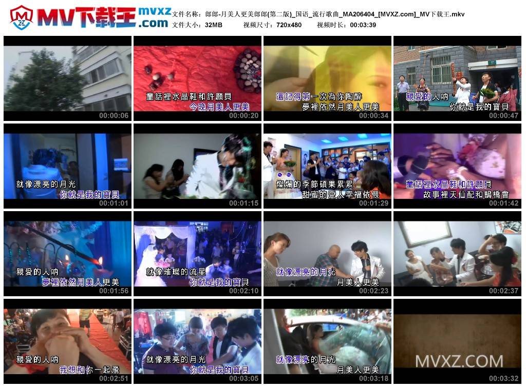 郎郎-月美人更美郎郎(第二版)_国语_流行歌曲_MA206404